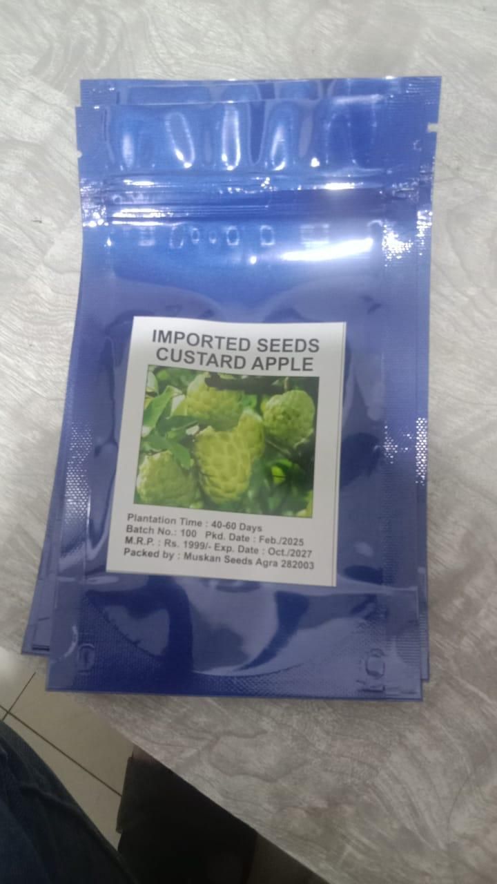 Custard Apple Seeds