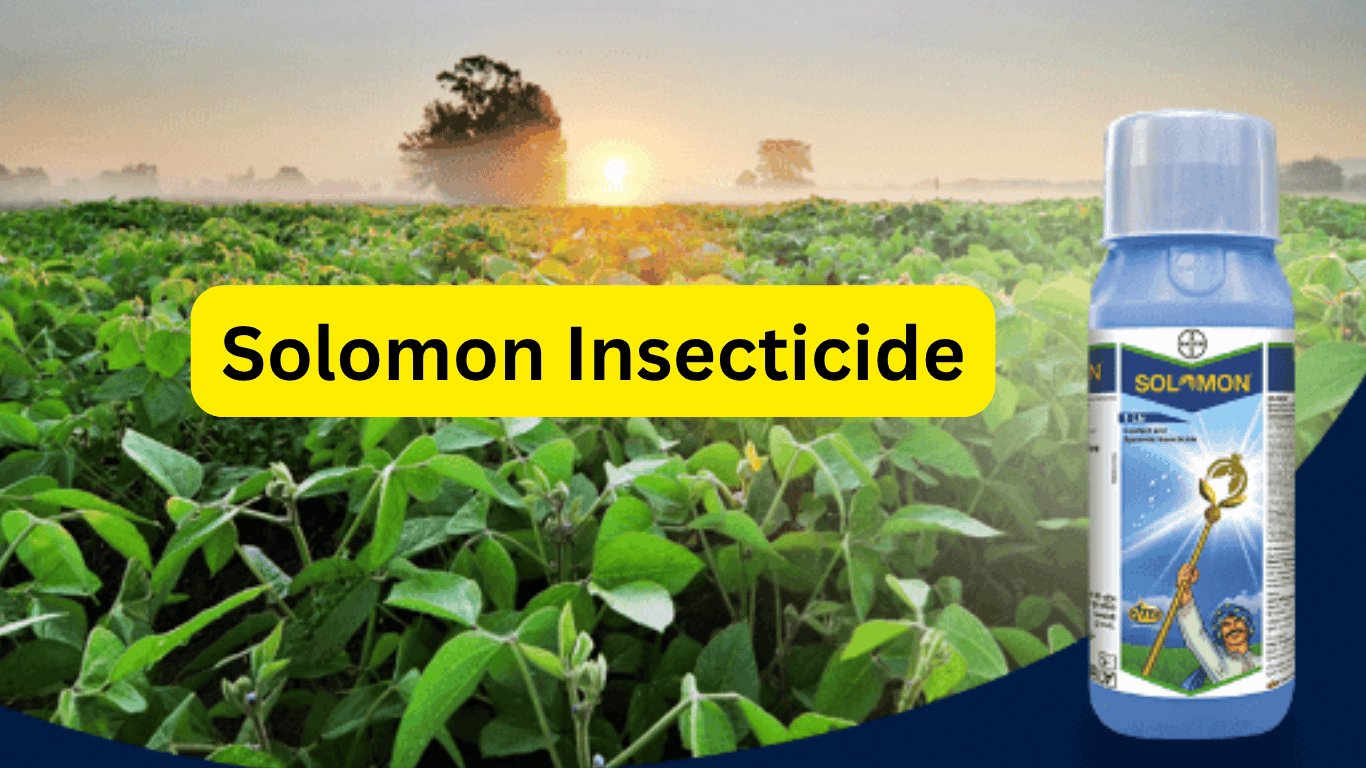 SOLOMON ( Beta-Cyfluthrin 8.49% + Imidacloprid 19.81%)