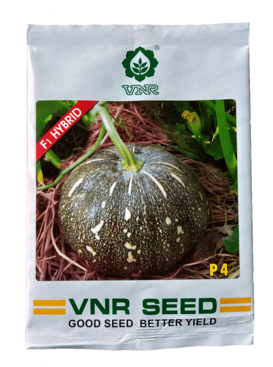 Buy P4 Hybrid Pumpkin Online - Agritell.com